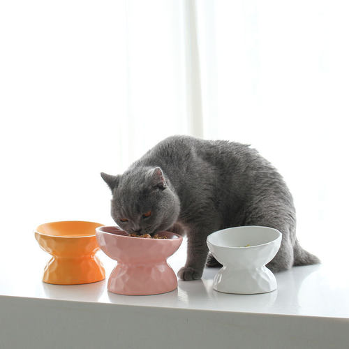 新品陶瓷猫碗保护颈椎斜口高脚狗狗猫粮碗猫咪食盆饭盆宠物用品防