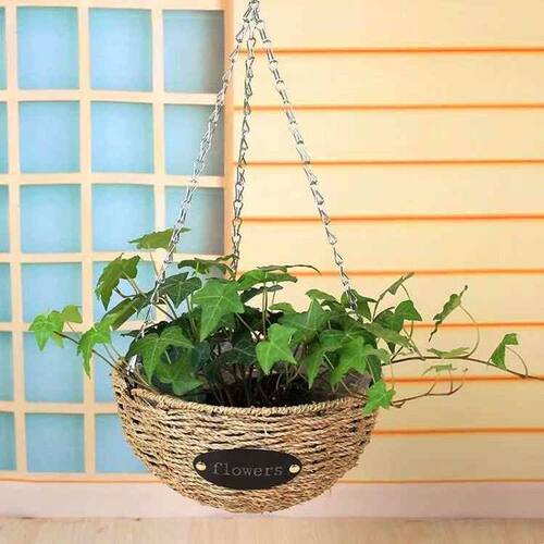 新品吊花篮吊兰绿萝吊花篮悬挂 草编藤编柳编阳台圆形挂篮