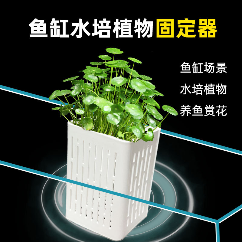 鱼缸水培定植篮壁挂式水草杯种篮