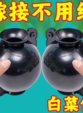 植物高压嫁接盒繁殖球生根包控根神器果树扦插育苗背枝园艺繁殖盒
