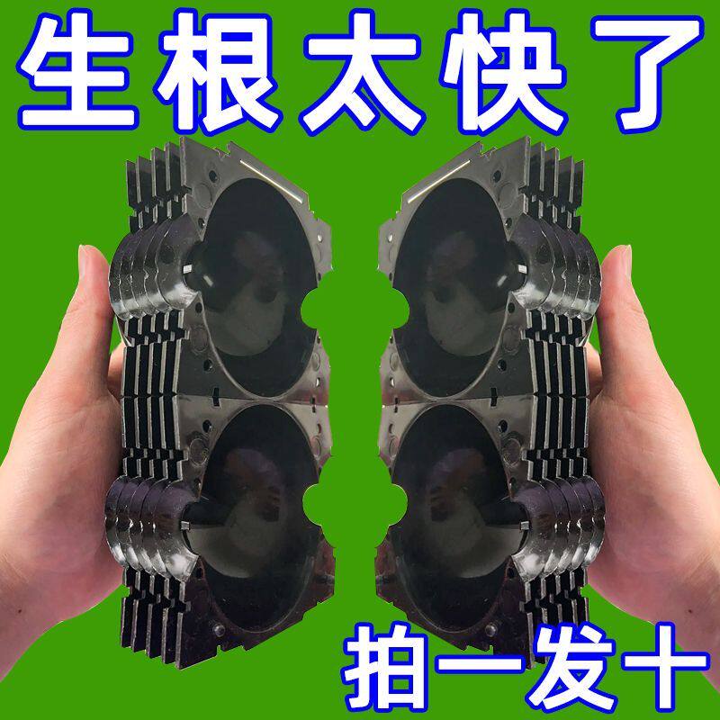 专用高压嫁接繁殖盒扦插果树枝条育苗器嫁接花木移栽器家用堆肥箱
