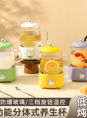 空盒子多功能生壶玻璃电热杯办公室煮花茶煮燕窝迷你生杯礼盒装