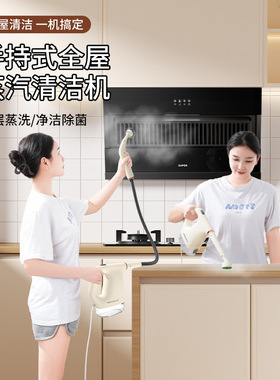 空盒子跨境迷你蒸汽清洁机高温空调厨房油烟机家用客厅消毒多功