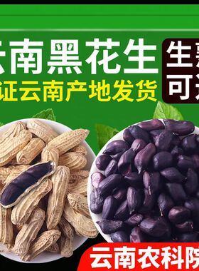 分装瓶收纳罐农科院云南黑花生新货带壳生的炒熟普洱特产富黑皮硒