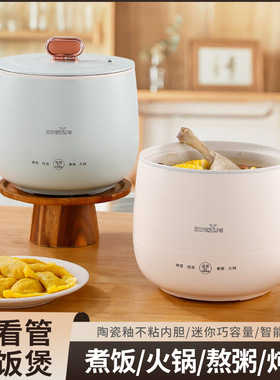 空盒子多功能电煮锅迷你电饭煲煮粥电炖锅生煲小饭锅办公室专用礼