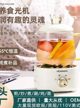 空盒子迷你生杯生壶电炖杯小型煮茶器家用花茶壶玻璃便携烧水杯1