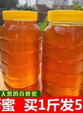 分装瓶收纳罐蜂蜜正品天然正宗蜂巢蜜农家自产纯正原味百花洋槐枣
