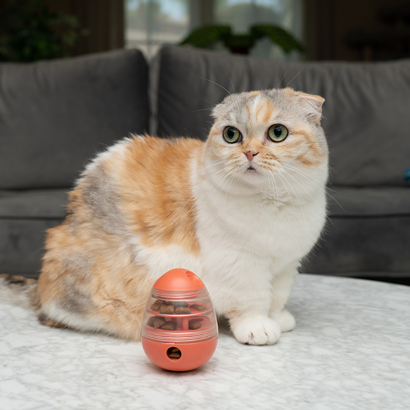 CAITEC猫玩具漏食不倒翁