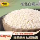 东北白糯米5斤2025年新米正宗江米粘米粽子专用年糕饭团农家自产