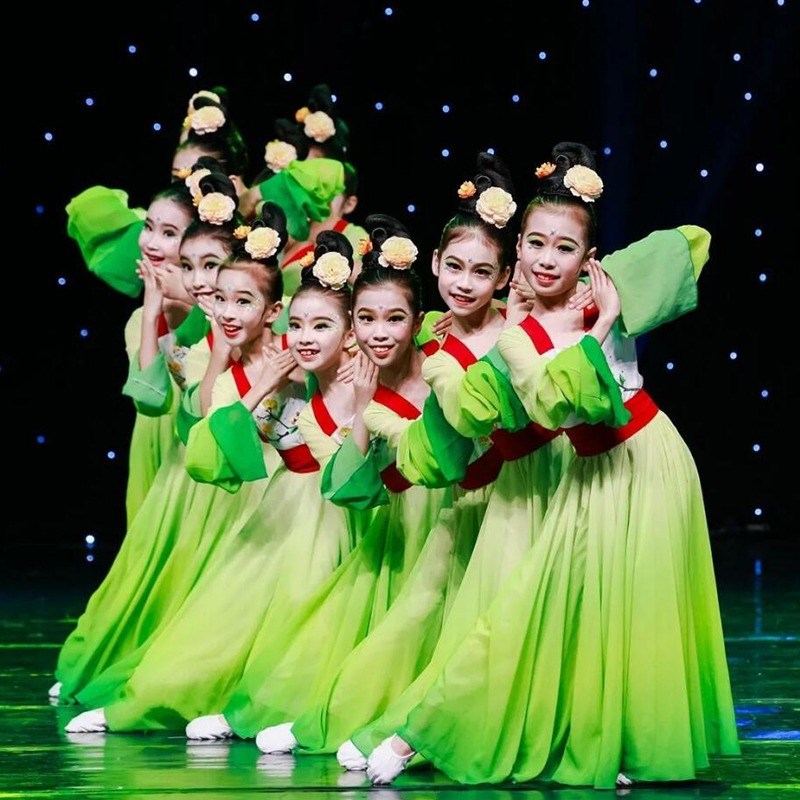 儿童大童舞蹈服中国风女童练功服甩袖六一表演服古典舞水袖演出服