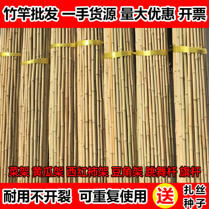 竹竿菜园搭架爬藤栅栏围栏竹子杆豆角架黄瓜番茄小竹杆爬藤架
