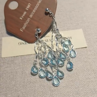 925银针水滴冰透流苏耳环小众设计感时尚气质耳钉轻奢高级感耳饰