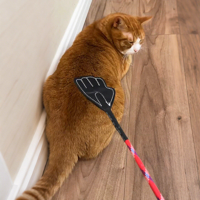 【拍猫咪屁股狂热爱好者】逗猫棒猫咪解闷小玩具训狗神器不伤宠物