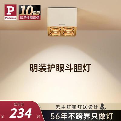 德国柏曼护眼全光谱斗胆灯 防眩射灯明装筒灯客厅无主灯照明灯具