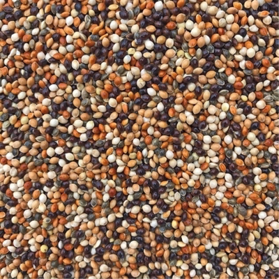 【新粮】五色黍子虎皮活宠鹦鹉饲料鸟食黄谷子文鸟小米鸟粮仓鼠粮
