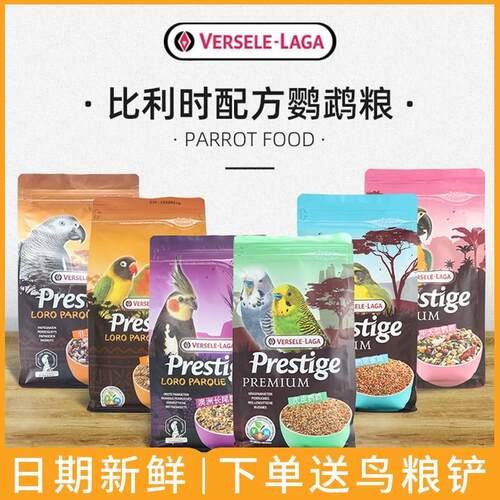 比利时凡赛尔虎皮鹦鹉饲