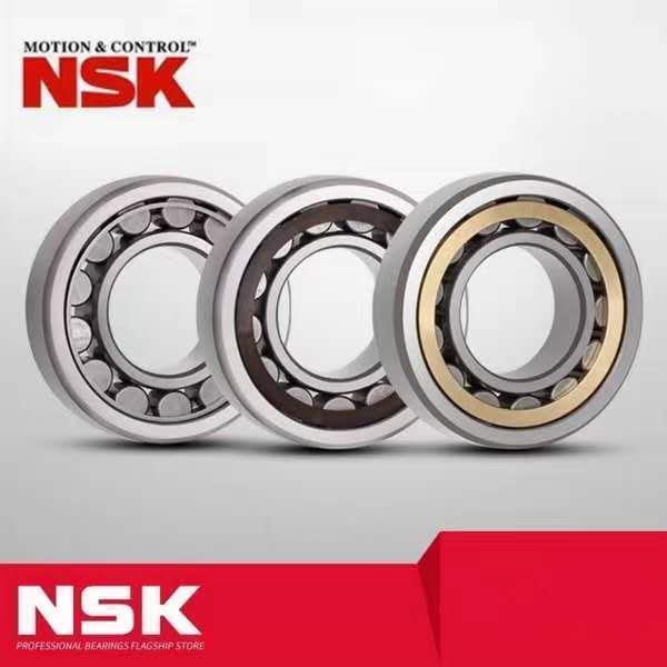 NSK轴承N428 130 432 434 436 438 440 444 448 452EM/ET/EW/C3