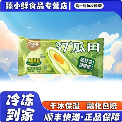艾冰客37°瓜田冰淇淋香瓜味雪糕网红冰激凌冷饮甜品冰糕批发