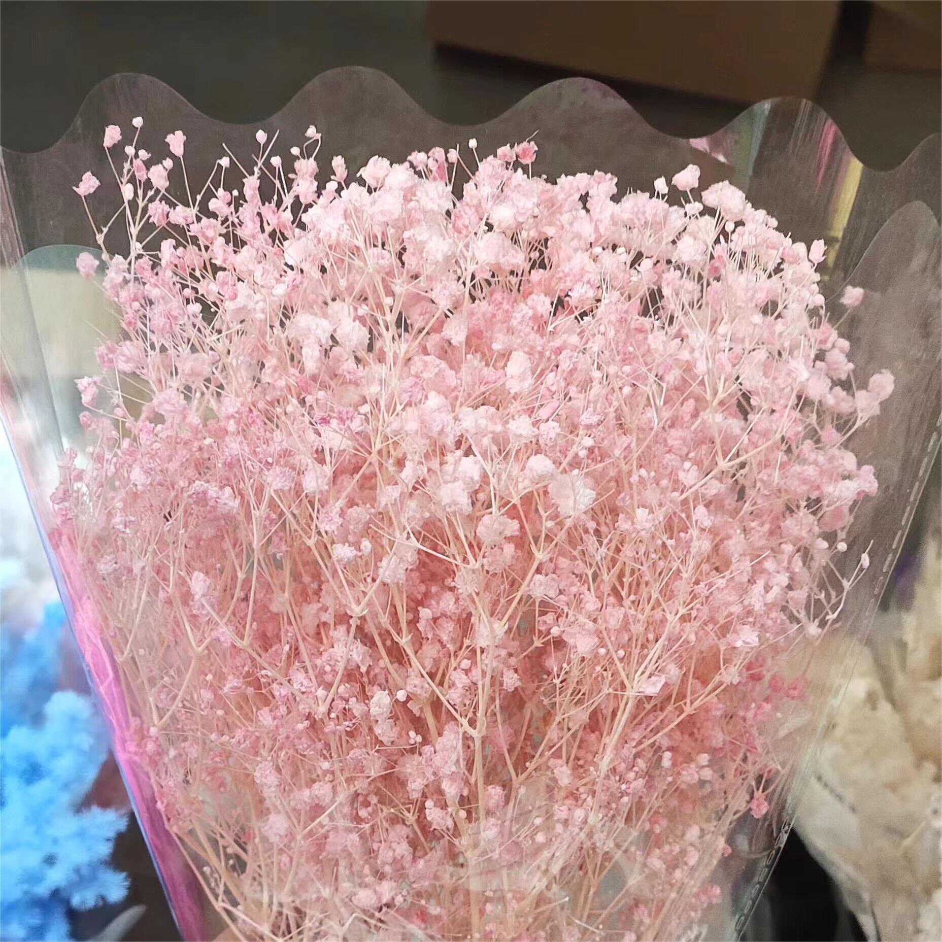 永生花梦幻星干花永生花梦幻星满天星花束手工DIY花材昆明直发