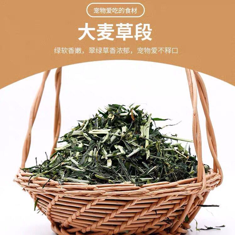 买三送一黑麦草大麦草叶段 150g 兔子龙猫荷兰猪龙猫粗纤维调理