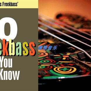 Freekbass 贝斯乐句影片 新品 Must Know You TrueFirei Licks