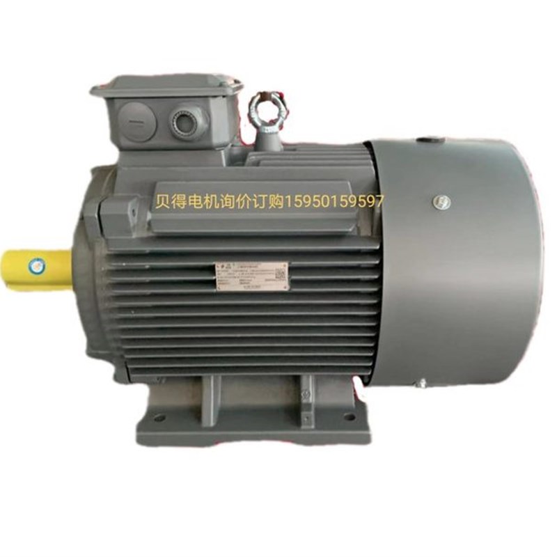 极速新品议价贝得电机1.1KpW 2极卧式/立式K1TL0003三相交流异步