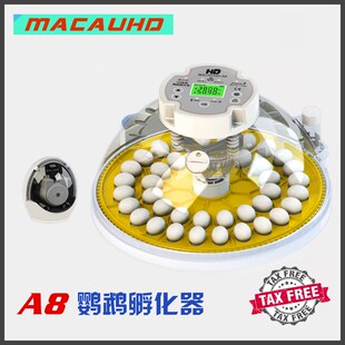 极速澳门A8全自动高精度孵化z器家用小型鹦鹉丝雀鸟类蛋恒温育雏