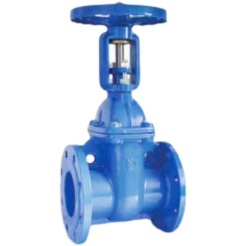 极速浙江瑞格铜业Z41T-10/16Q球墨铸铁9106M法兰明杆铜芯闸阀DN80