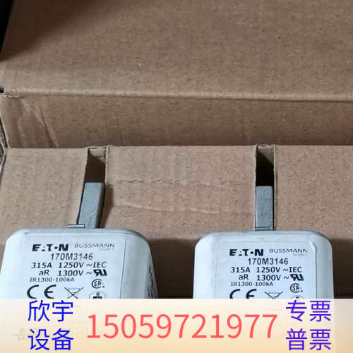 快速熔断器保险丝170M3144 170M3145 170M.议价