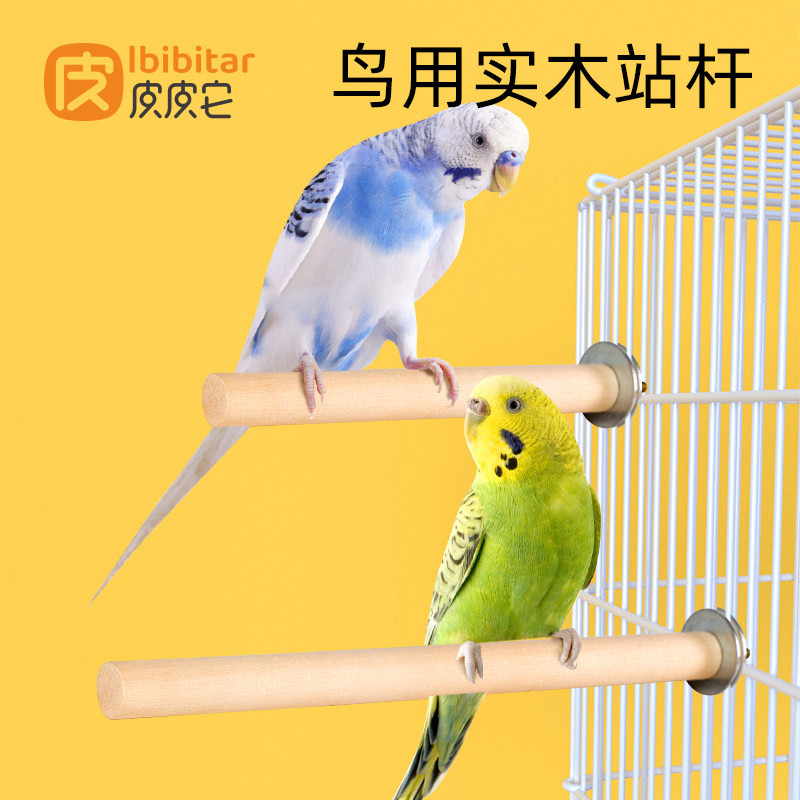 皮皮它鸟用站杆原木螺丝图片