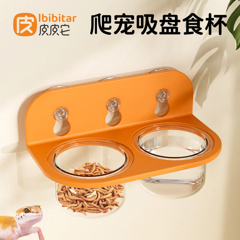 爬宠吸盘食盆水盆食碗防翻守宫蜥蜴乌龟睫角果泥盆喂食器悬浮食盒