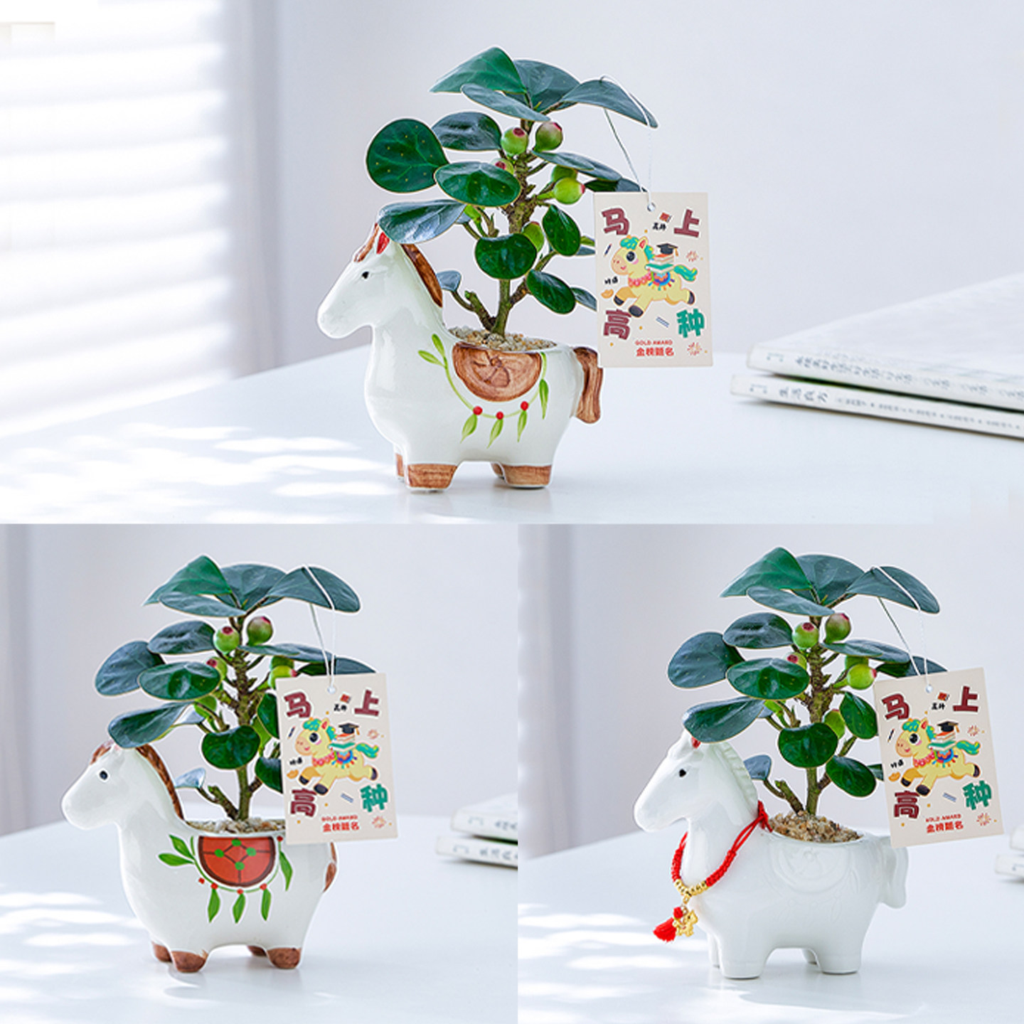 咖虎小盼菩提盆栽带果植物室内书桌办公桌绿植四季常青懒人好养活