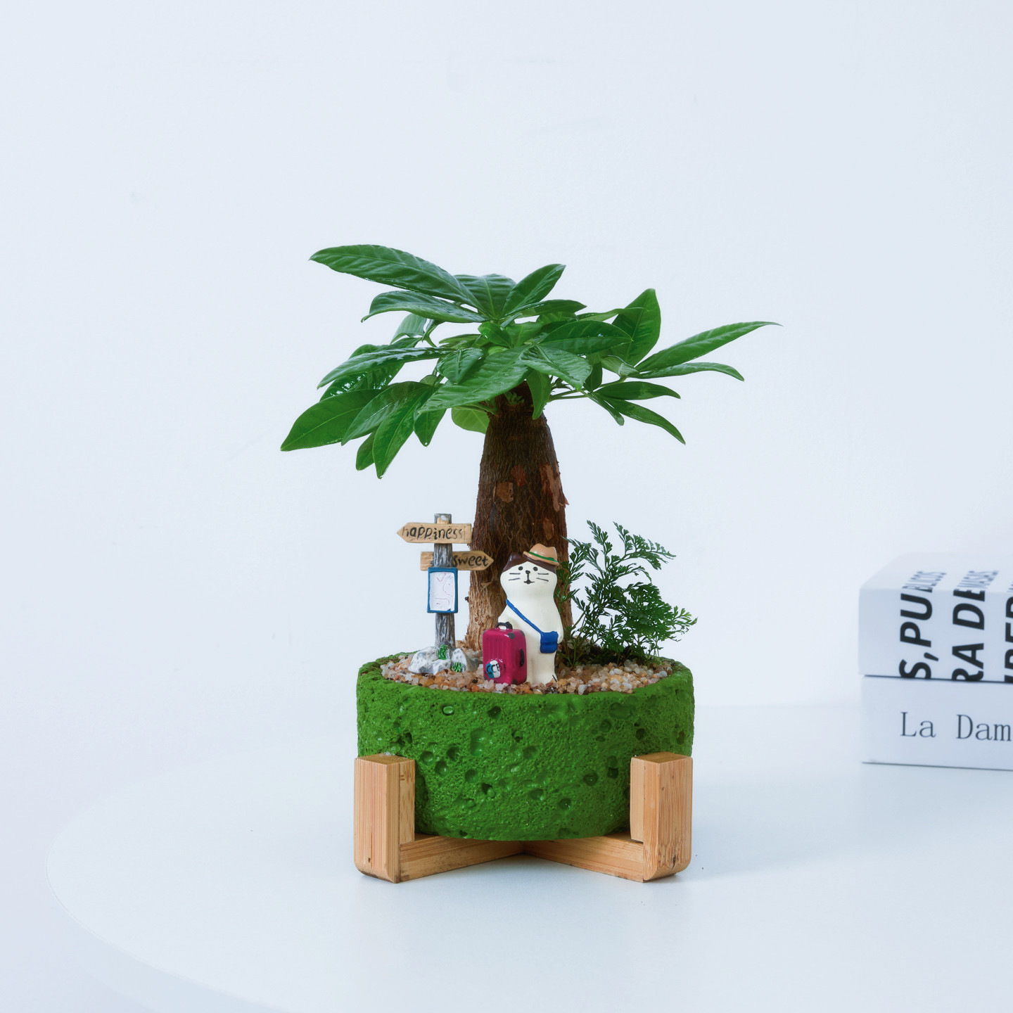 发财树盆栽室内办公室桌面绿植招财旺宅植物摆件四季常青好养送礼