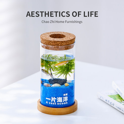 一片海洋棕榈莫斯微景观摆件