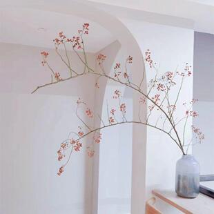 山归来红果永生花不掉果天然干 干燥花树枝高级侘寂风摆件植物客