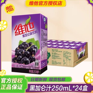 果汁果味饮品 24盒整箱批特价 Vita维他港式 黑加仑汁味饮料250ml