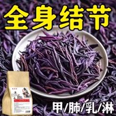 老方子 全身结节结节茶非散结节茶结块茶养生茶散结茶