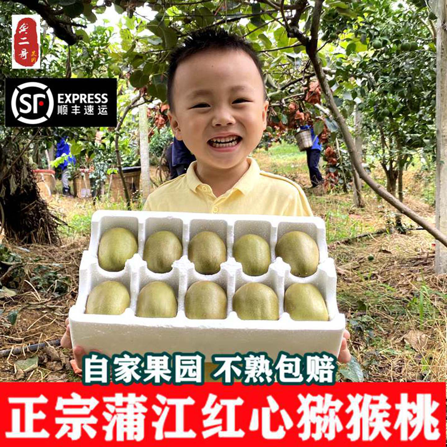 顺丰红心猕猴桃四川蒲江包甜包熟