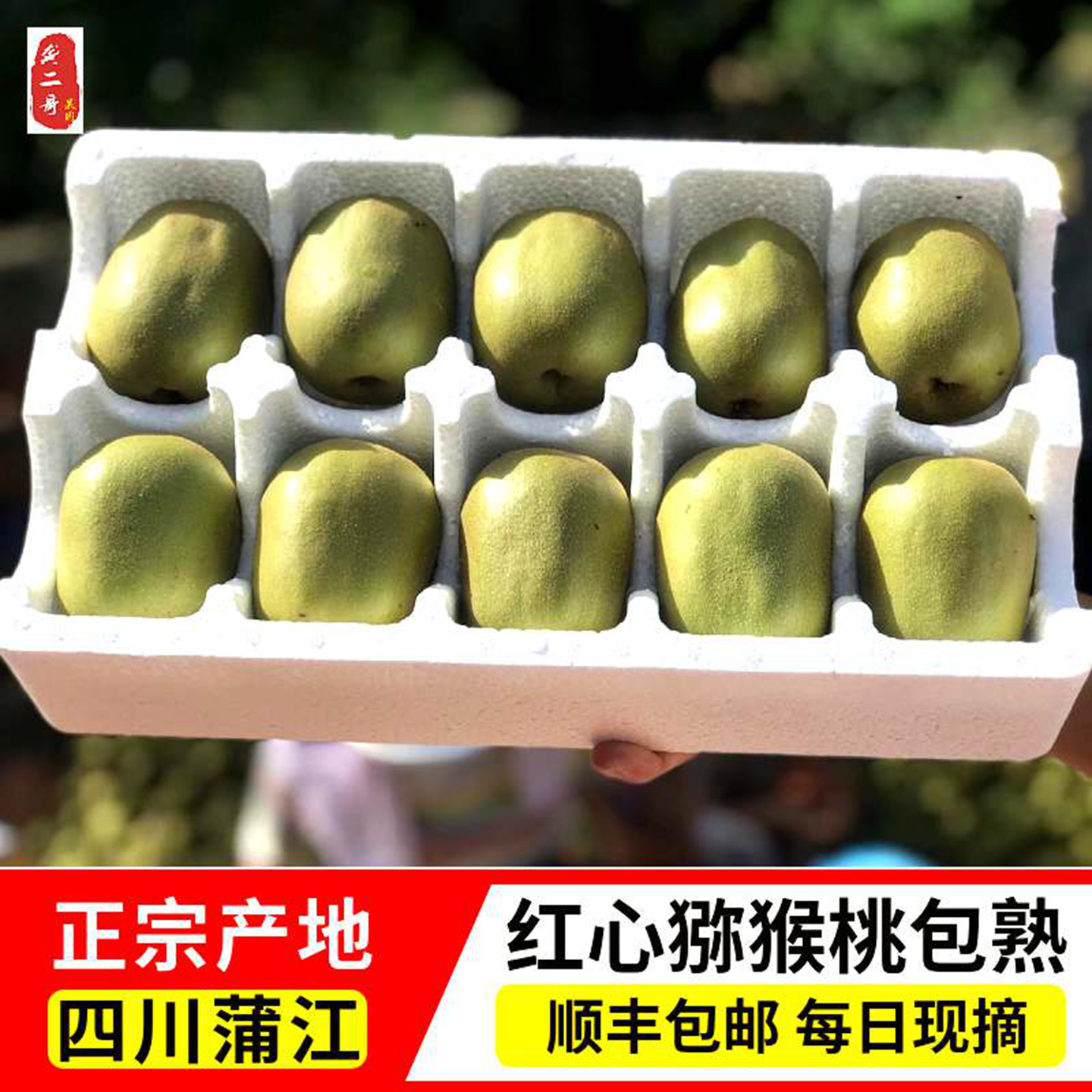 四川红心猕猴桃包甜包熟蒲江顺丰