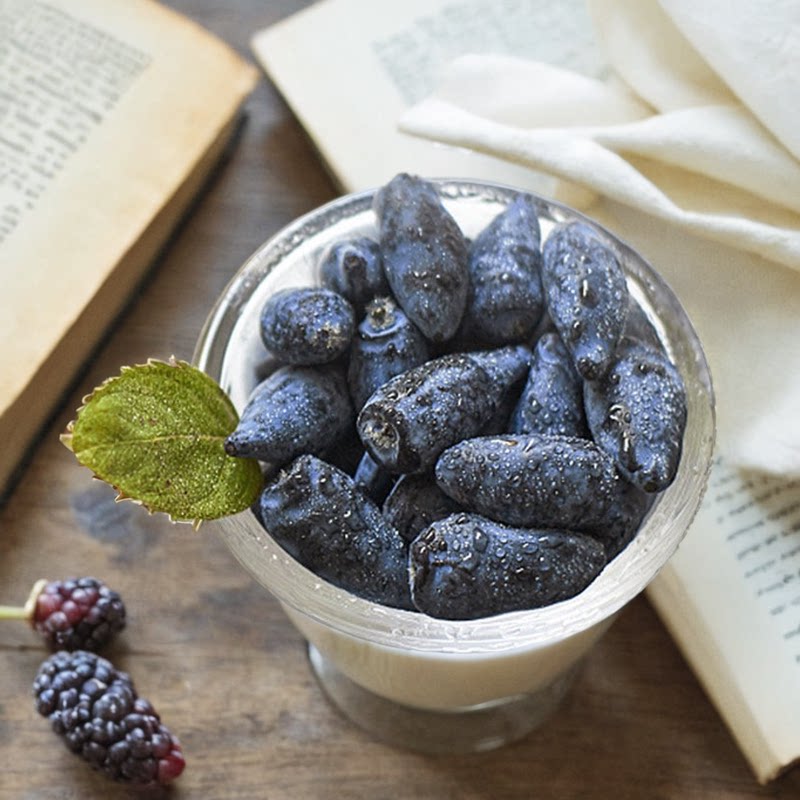 蓝靛果盆栽种苗南方北方庭院阳台盆栽地栽稀有果树苗耐寒山茄子苗