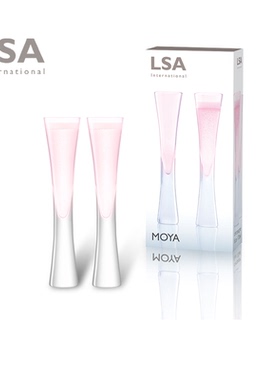 英国LSA进口水晶玻璃香槟酒杯套装2个一对北欧高脚杯礼盒结婚礼物