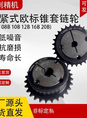 欧标涨紧式锥套链轮06B08B10B12B16B单排双排三排机械传输链轮