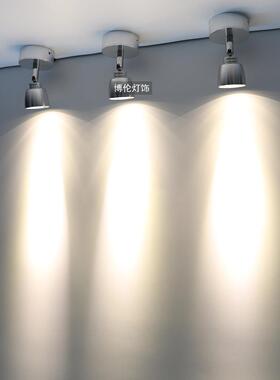 Led射灯3W单光背景墙灯床头灯1W客厅射灯镜子头灯彩绘灯表面安装