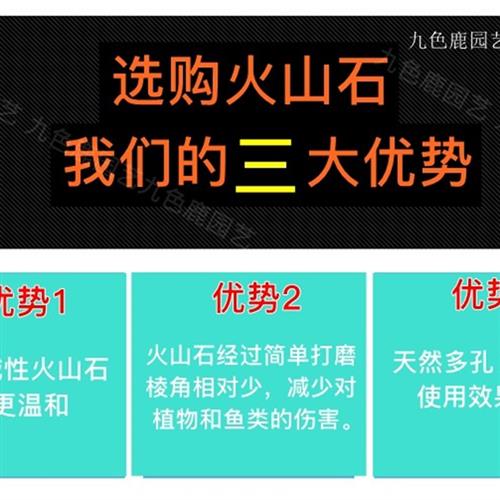 包邮20斤火山石 多肉兰花专用拌土颗粒营养土铺面垫底水族火山岩
