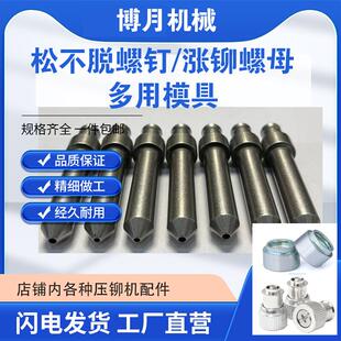 铆钉机模具 现货 松不脱螺钉模具冲头 涨铆螺母模具 压铆机配件