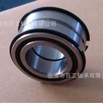 满装圆柱滚子轴承SL04 NNF 50 1 0 1 2 3 4 5 6 7 8 9 PP ADA-2LS