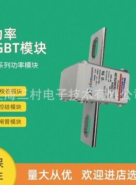 全新熔断器保险丝全新质保NDZFK50V25 Y212541 DIIFK50V2 E213559