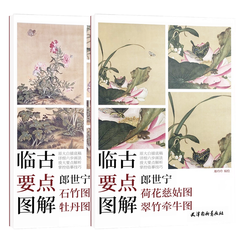临古要点图解-郎世宁石竹 牡丹图 荷花慈姑图 翠竹牵牛图工笔花鸟画临摹画稿素描白描线描素材临摹底稿工笔花卉艺术绘画临摹范本
