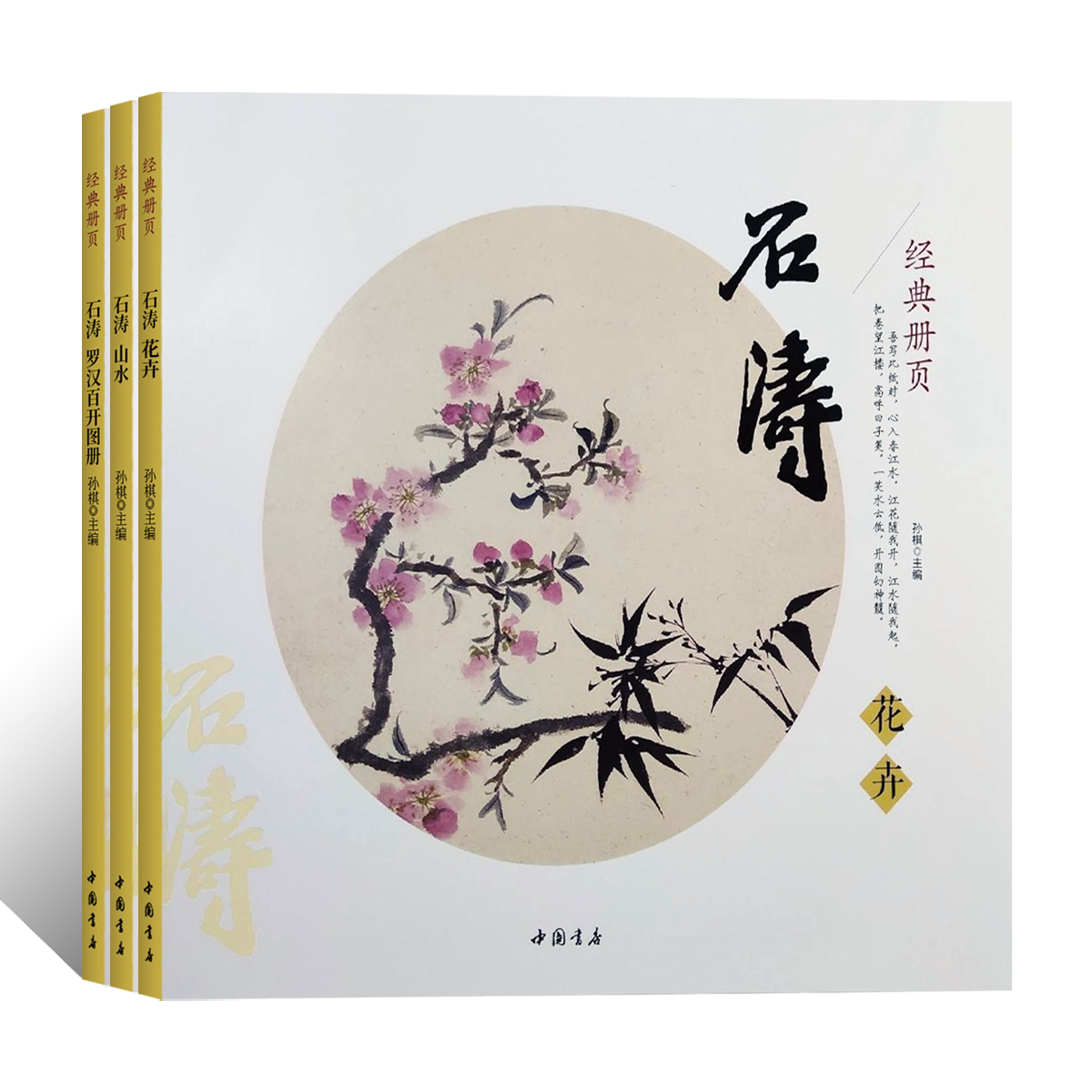 经典册页 石涛山水花卉罗汉百开图册苦瓜和尚写意山水花鸟画文人人物画绘画技法国画初学者基础入门教程山水花卉树木人物临摹范本