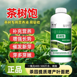 茶树饱营养肥料增强树势催芽促芽芽齐芽嫩提早出芽增强免疫力骠骑
